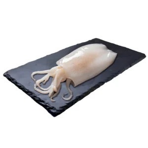 Seiche entière nettoyée décongelée