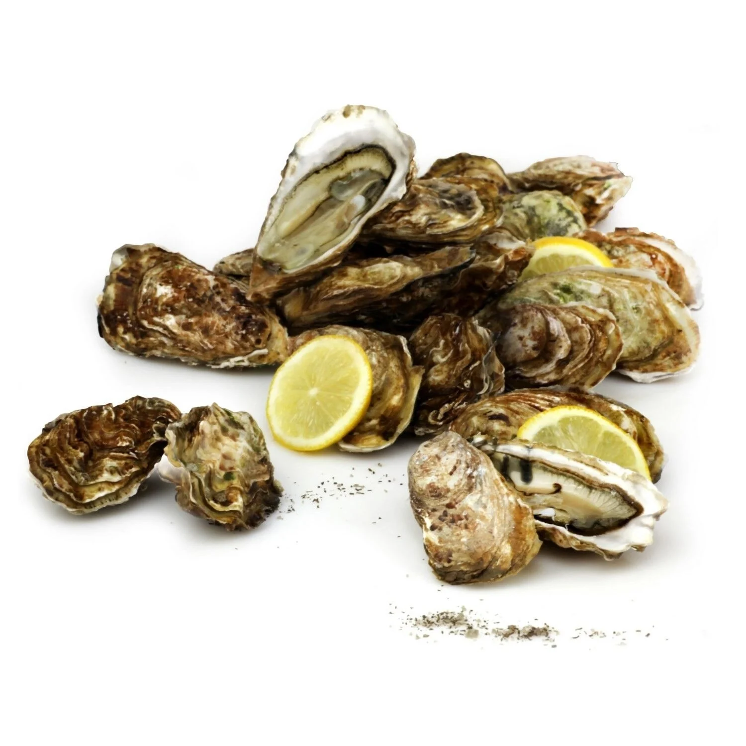 Huîtres Marennes-d'Oléron N°4 IGP FILIERE QUALITE – Image 3